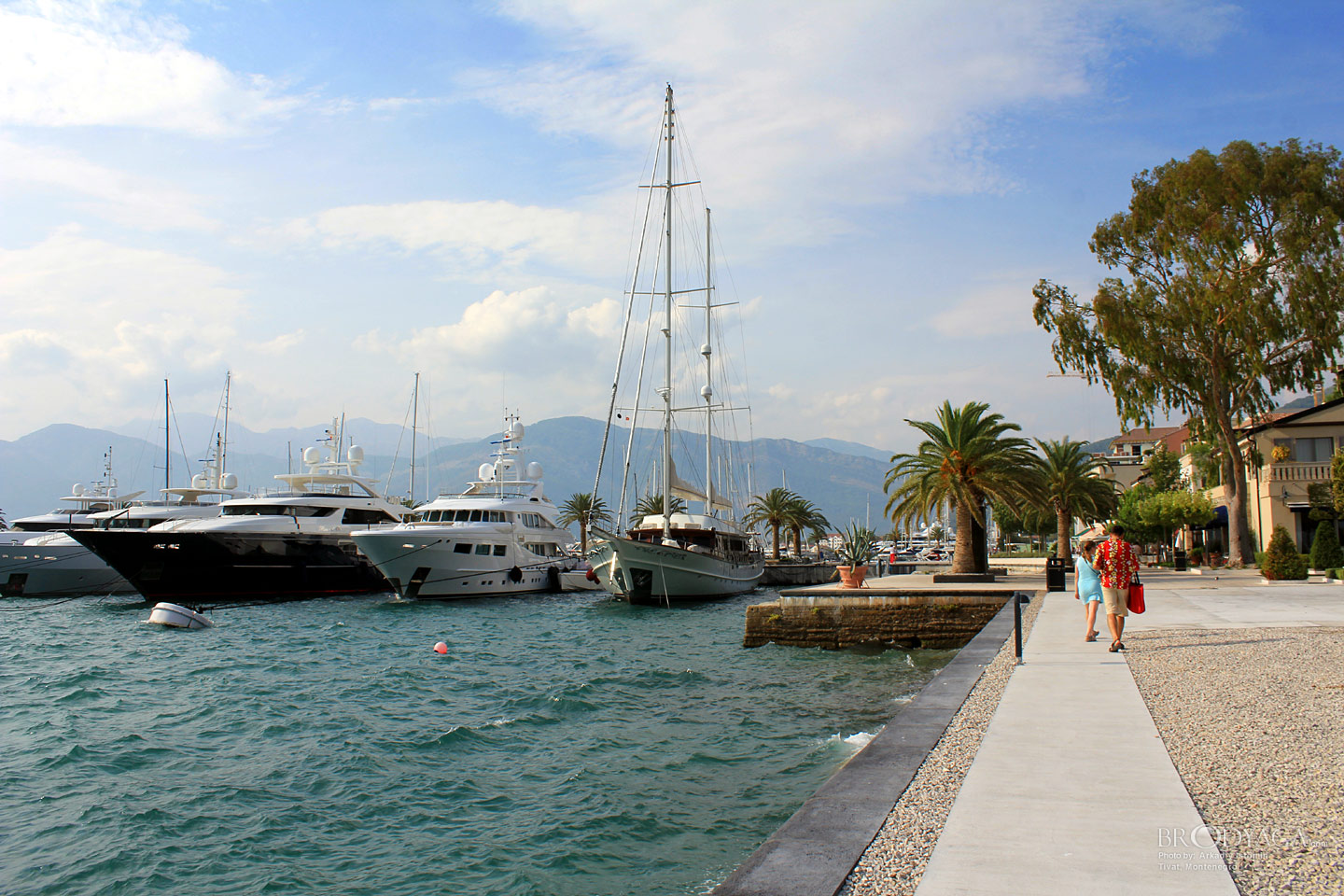 Tivat